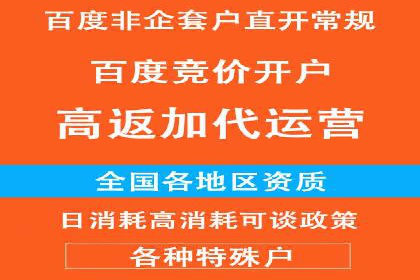 社交平台信息流竞价广告的投放策略与效果